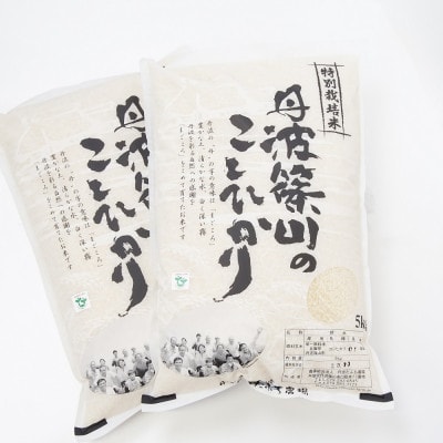 令和6年産!丹波篠山のこしひかり精米5kg×2袋