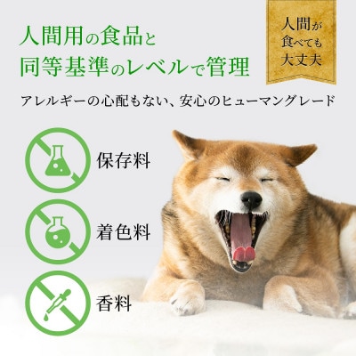 ドッグフード　無添加　鹿ジャーキー　40g