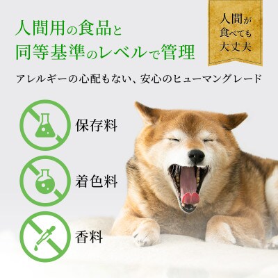 ドッグフード　鹿ドライミンチ　スティック　200g