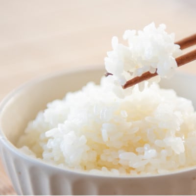 丹波篠山産コシヒカリ玄米 計30kg