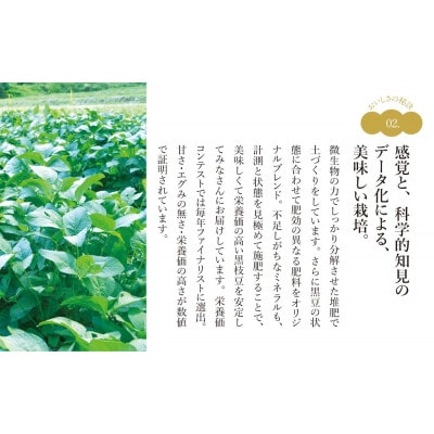 【先行受付】2025年10月発送★丹波篠山産　有機黒大豆枝豆　1kg　