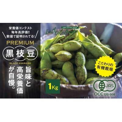 【先行受付】2024年10月発送★丹波篠山産　有機黒大豆枝豆　1kg　