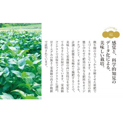 【先行受付】2024年10月発送★丹波篠山産　有機黒大豆枝豆　1kg　