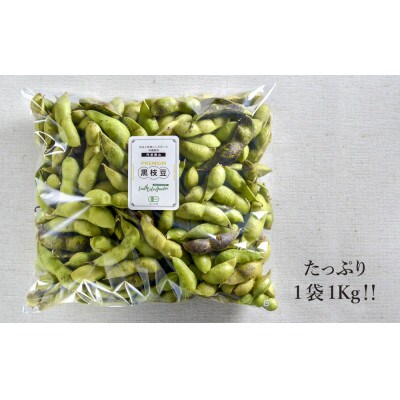 【先行受付】2024年10月発送★丹波篠山産　有機黒大豆枝豆　1kg　