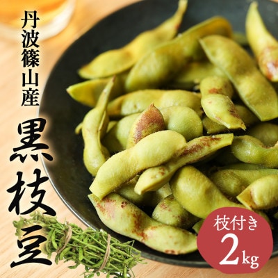 【先行予約 2024年10月より順次発送】日本三大枝豆　丹波篠山黒枝豆　2kg　希少な枝付き!