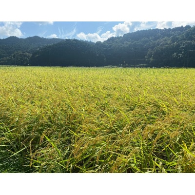 大自然で育てた「コシヒカリ」10kg(5kg × 2)