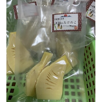 丹波篠山市産たけのこの水煮(100g×10P)