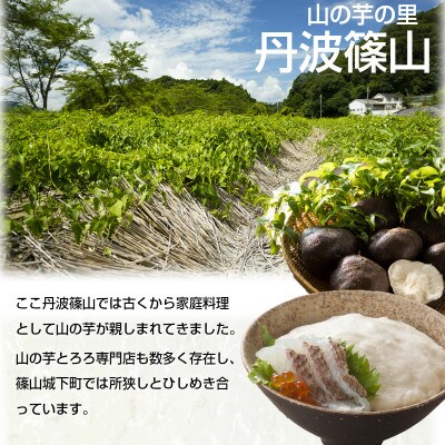 丹波篠山産 山の芋 秀品 2kg箱
