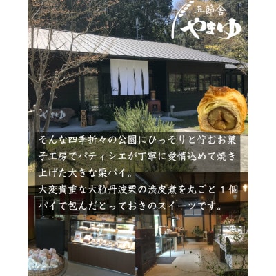 丹波栗パイ6個セット