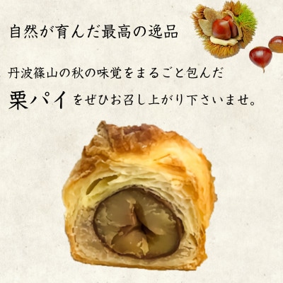 丹波栗パイ6個セット