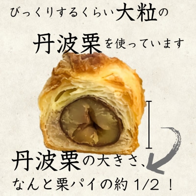 丹波栗パイ6個セット