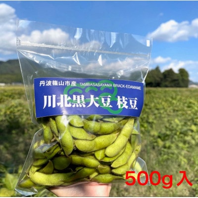 丹波篠山黒豆プリンと川北黒大豆枝豆2袋のセット