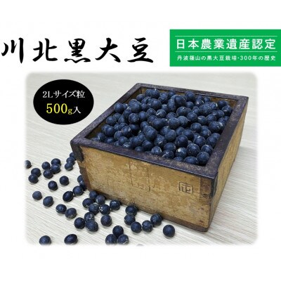 川北黒大豆 2Lサイズ粒 【2022年産 新豆 先行受付中】