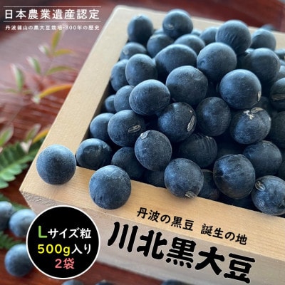 川北黒大豆　Lサイズ粒　【2024年産　新豆】