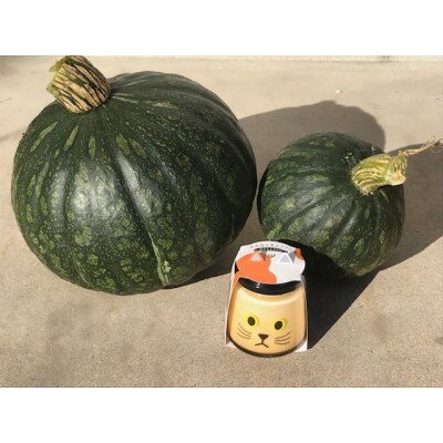 黒豆かぼちゃプリン　かぼちゃん6個セット