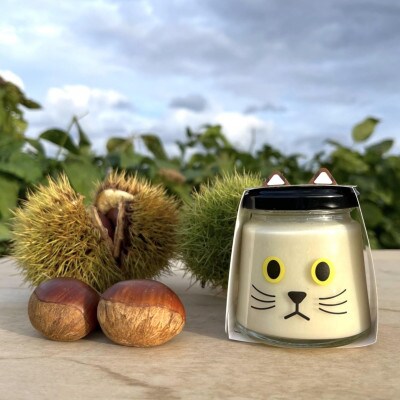 【期間限定】丹波栗プリン　マロンちゃん12個セット