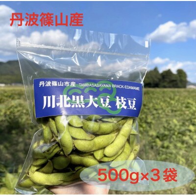 川北黒大豆枝豆3袋と丹波黒煮豆3袋のセット