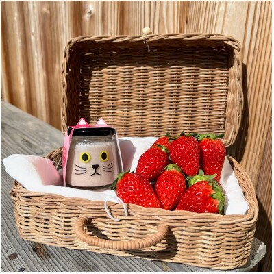 フルーツプリンセット