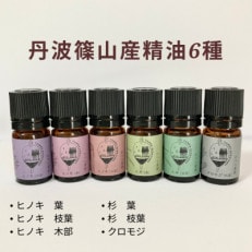 丹波篠山産精油 6種【ヒノキ3種(木部、枝葉、葉)・杉2種 (枝葉、葉)・クロモジ】