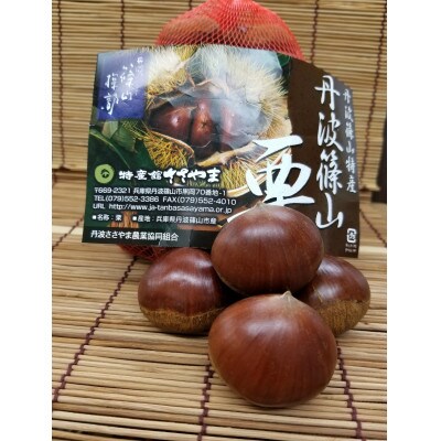 丹波篠山栗
