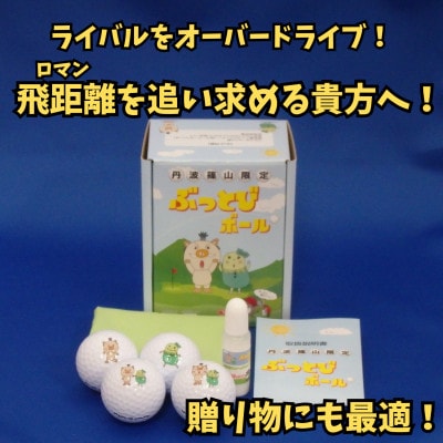 丹波篠山市限定　非公認高反発ぶっとびゴルフボール4個+飛距離アップクリーナー「飛び～ナー」のセット