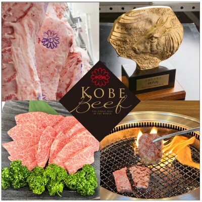神戸ビーフ　焼肉用(500g)+玉ねぎ麹(200g)+コチュジャン(100g)　SOKOYS3　