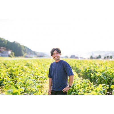 【令和6年10月中旬より発送】「神戸牛」切り落とし肉 1Kgと丹波篠山産黒枝豆 SOKOS1000