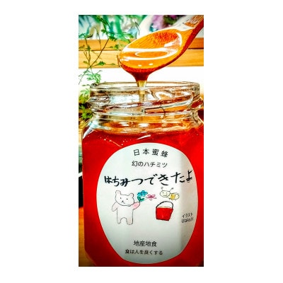 日本蜜蜂の非加熱、天然生ハチミツ