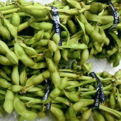 【期間限定】令和8年度産　丹波篠山産　川北黒大豆枝豆　500g×2袋(枝なし)