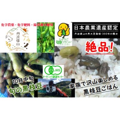 日本遺産　丹波篠山市　JAS有機栽培　オーガニック黒枝豆