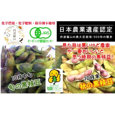 日本遺産　丹波篠山市　JAS有機栽培　オーガニック黒枝豆