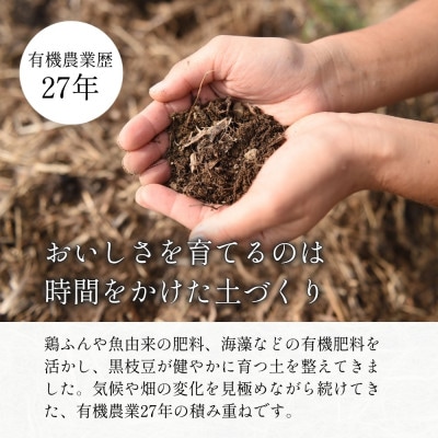 日本遺産　丹波篠山市　JAS有機栽培　オーガニック黒枝豆
