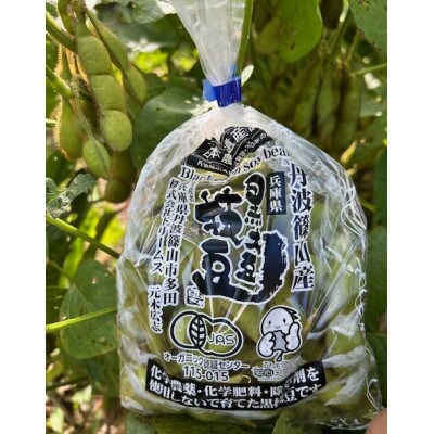 日本遺産　丹波篠山市　JAS有機栽培　オーガニック黒枝豆