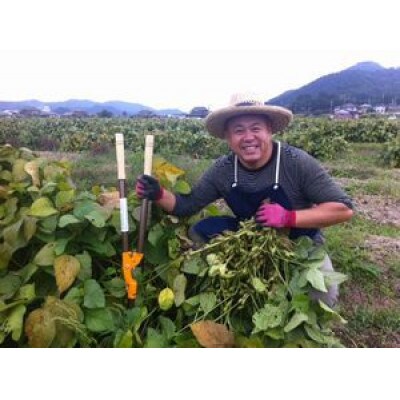日本遺産　丹波篠山市　JAS有機栽培　オーガニック黒枝豆