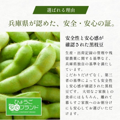 日本遺産　丹波篠山市　JAS有機栽培　オーガニック黒枝豆