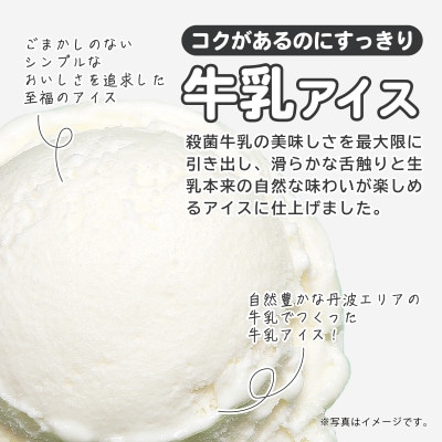 丹波篠山エリアを味わう 業務用 牛乳アイス 黒豆アイス 2L×2個入【IK003】