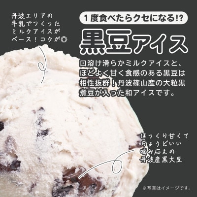 丹波篠山エリアを味わう 業務用 牛乳アイス 黒豆アイス 2L×2個入【IK003】
