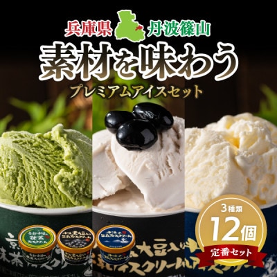 丹波篠山　素材を味わうアイスクリーム　プレミアムセット　12個(3種類×4個)【IK006】