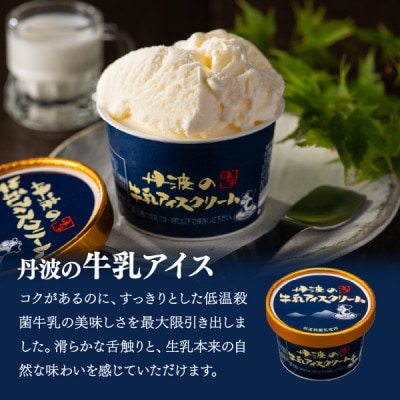 丹波篠山　素材を味わうアイスクリーム　プレミアムセット　12個(3種類×4個)【IK006】