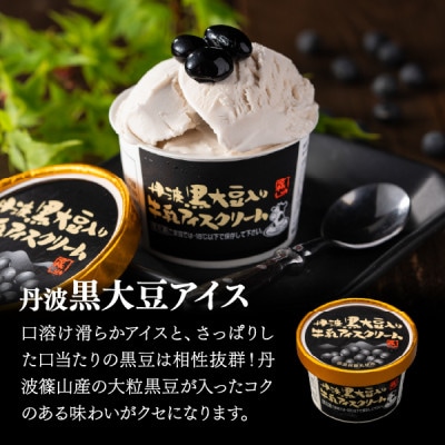 丹波篠山　素材を味わうアイスクリーム　プレミアムセット　12個(3種類×4個)【IK006】
