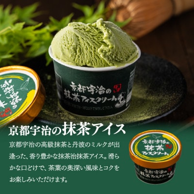 丹波篠山　素材を味わうアイスクリーム　プレミアムセット　12個(3種類×4個)【IK006】