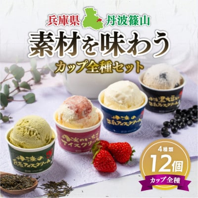 丹波篠山 素材を味わうアイスクリーム カップ全種セット 12個(4種類×3個)【IK007】