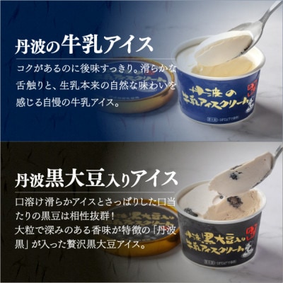 丹波篠山 素材を味わうアイスクリーム カップ全種セット 12個(4種類×3個)【IK007】