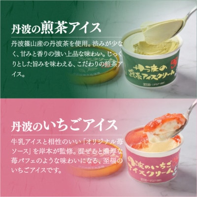 丹波篠山 素材を味わうアイスクリーム カップ全種セット 12個(4種類×3個)【IK007】
