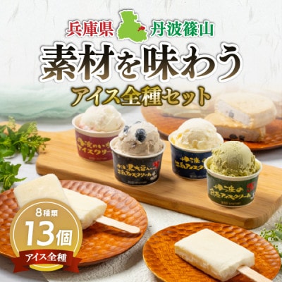 丹波篠山 素材を味わうアイスクリーム アイス全種セット 13個(8種類)【IK008】