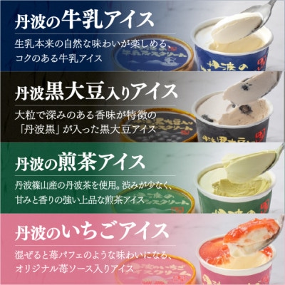 丹波篠山 素材を味わうアイスクリーム アイス全種セット 13個(8種類)【IK008】