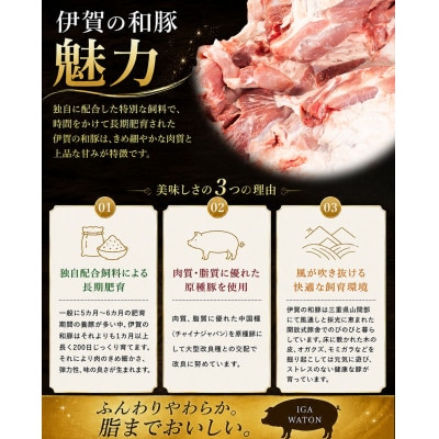 和豚　モモブロック　7.5kg以上