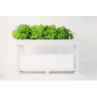 水耕栽培キット　ホームハイポニカPLAABO