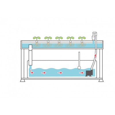 水耕栽培キット　ホームハイポニカPLAABO