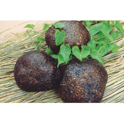 丹波篠山産　山の芋【優品　3kg】